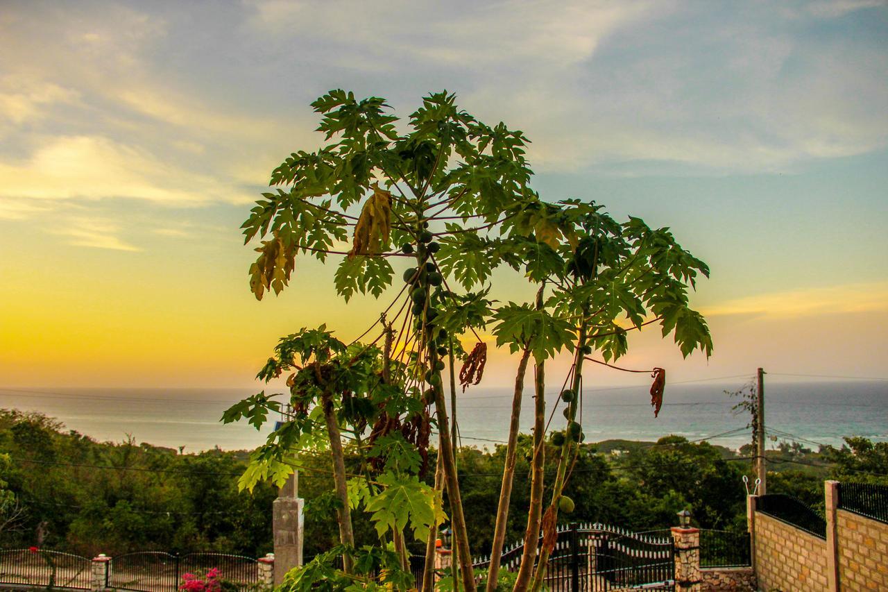 Sunshine Lodge: Your Home Away From Home モンテゴ・ベイ エクステリア 写真